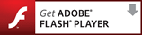 adobe flash player̃_E[h